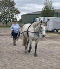 1 Hour Coaching with Gayle Lovelock BHS APC 3